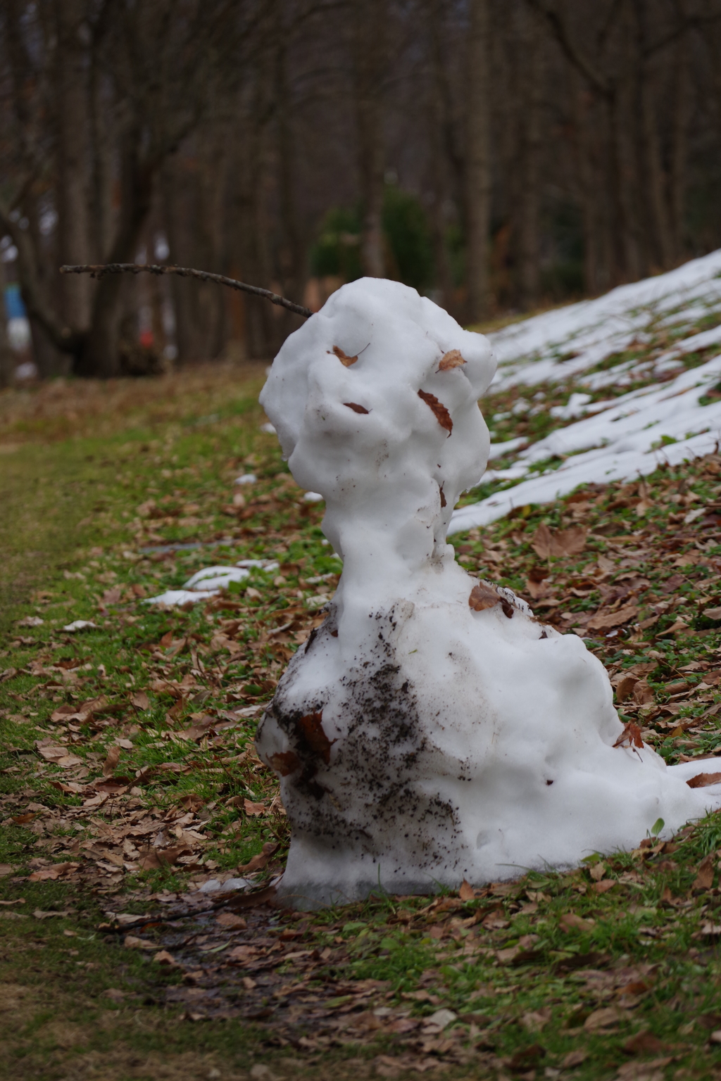 春が近いかも。。溶けてます