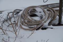 岸壁の忘れ物-2