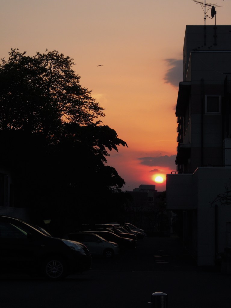 久しぶりの夕焼け