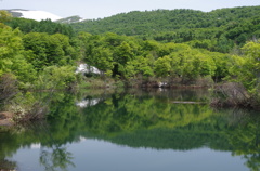 新緑の月山・地蔵池-1