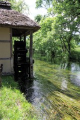 大王ワサビ農場-水車小屋