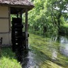 大王ワサビ農場-水車小屋