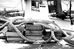 港のロープ1