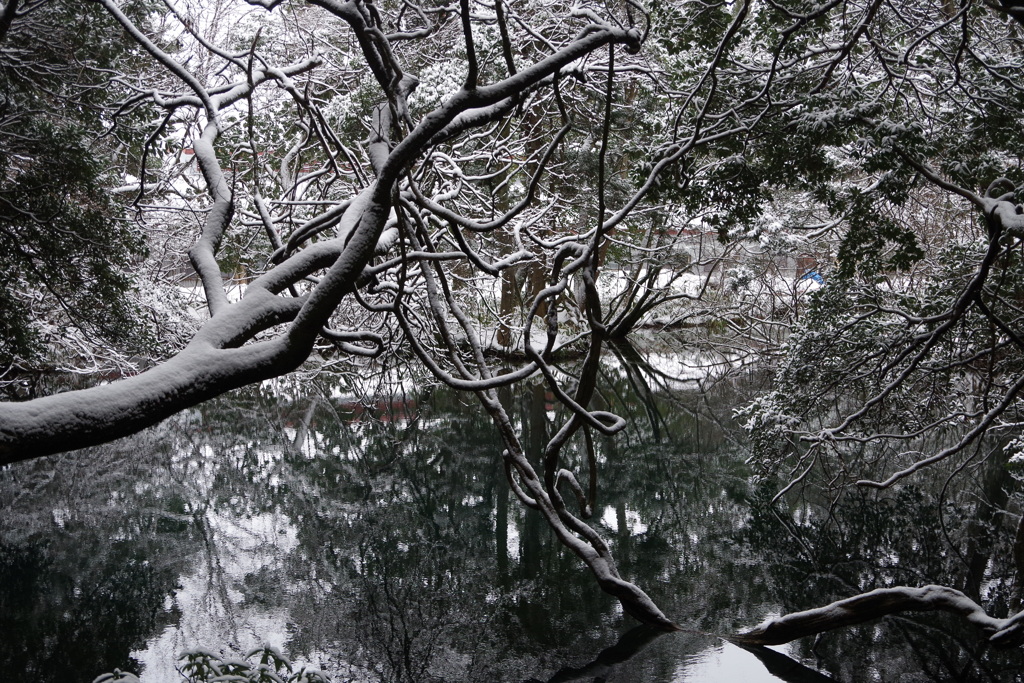 2018年の今頃-雪の丸池様-2