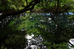 青と緑の丸池様-4