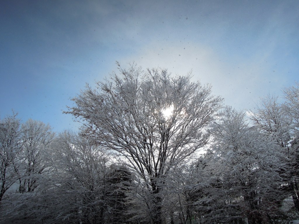 青空から雪が降る