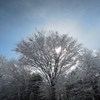 青空から雪が降る