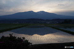 水鏡に写る鳥海山-1