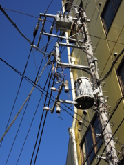 色々とたかってます
