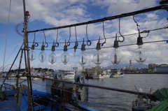 酒田港‐イカ釣り船2