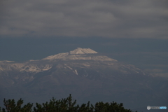 朝明けのねぼけた鳥海山