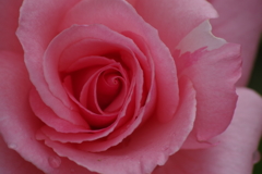 スパイラルに魅せられて4