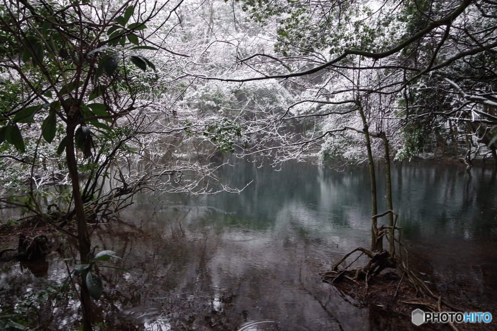 厳寒の丸池様-1