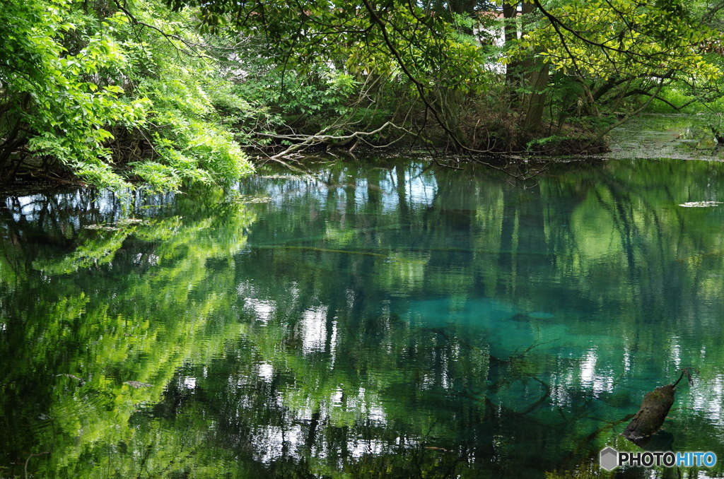 緑と青の丸池様-1