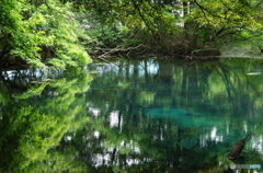 緑と青の丸池様-1