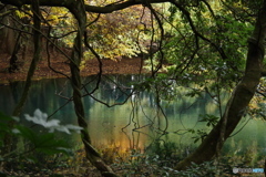 秋色の丸池様-7