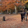 写ガール達のソーレ
