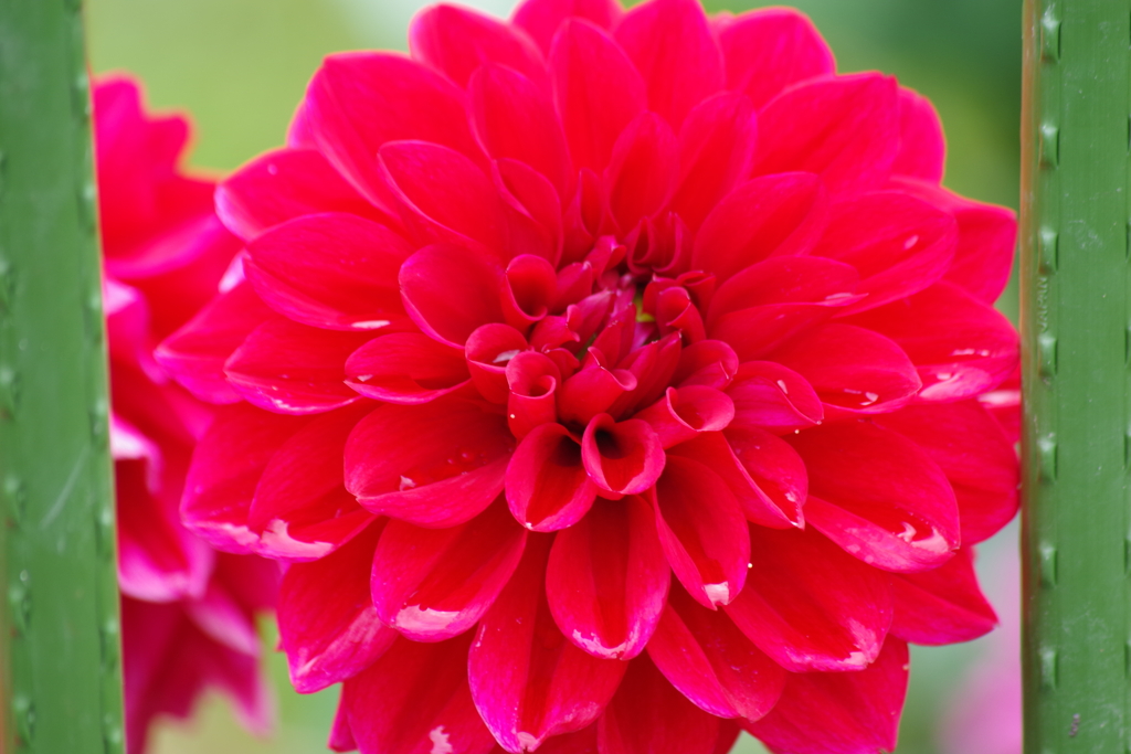 秋田ブランド-NAMAHAGEトランプ