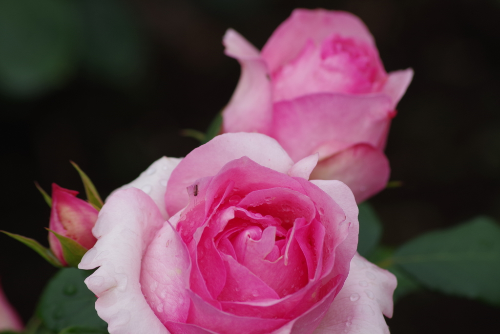 6/16 ヒストリー