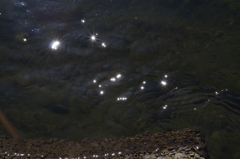 川の星座-2