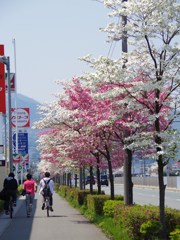 青春が駆ける-1