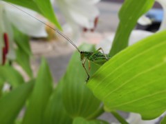 どこへ行こう