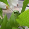 どこへ行こう