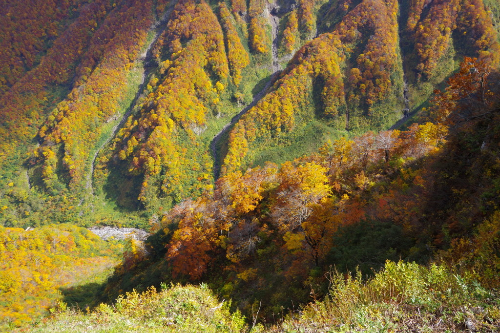 鳥海山-奈曾渓谷2