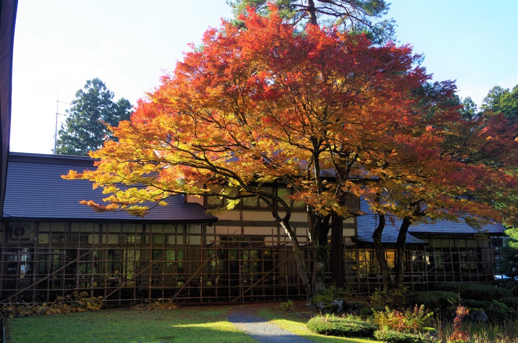 羽黒山-出羽の里門前庭園1