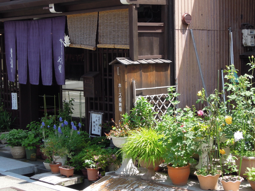 店先は植物園