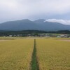 実りと鳥海山