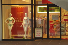 ウインドーディスプレートリンプ