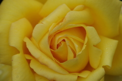 スパイラルに魅せられて5