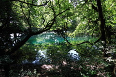 青と緑の丸池様-6