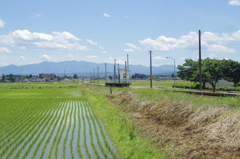 田んぼしかない白兎駅