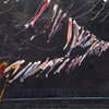 川風に吹かれて