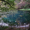秋彩の丸池様-2