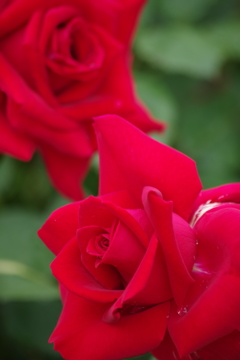 6/6 グルグント`81