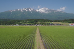 早苗と鳥海山