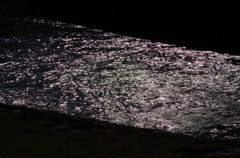 桜色の洗沢川