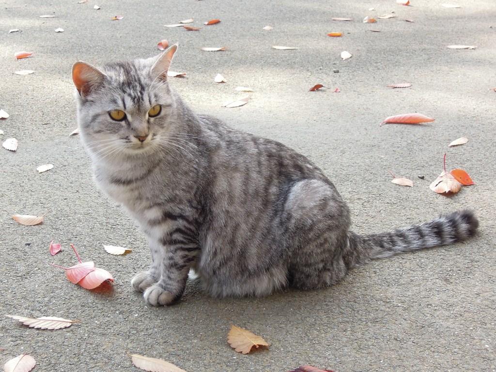 餌ちょうだいポーズとるから～