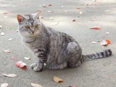 餌ちょうだいポーズとるから～