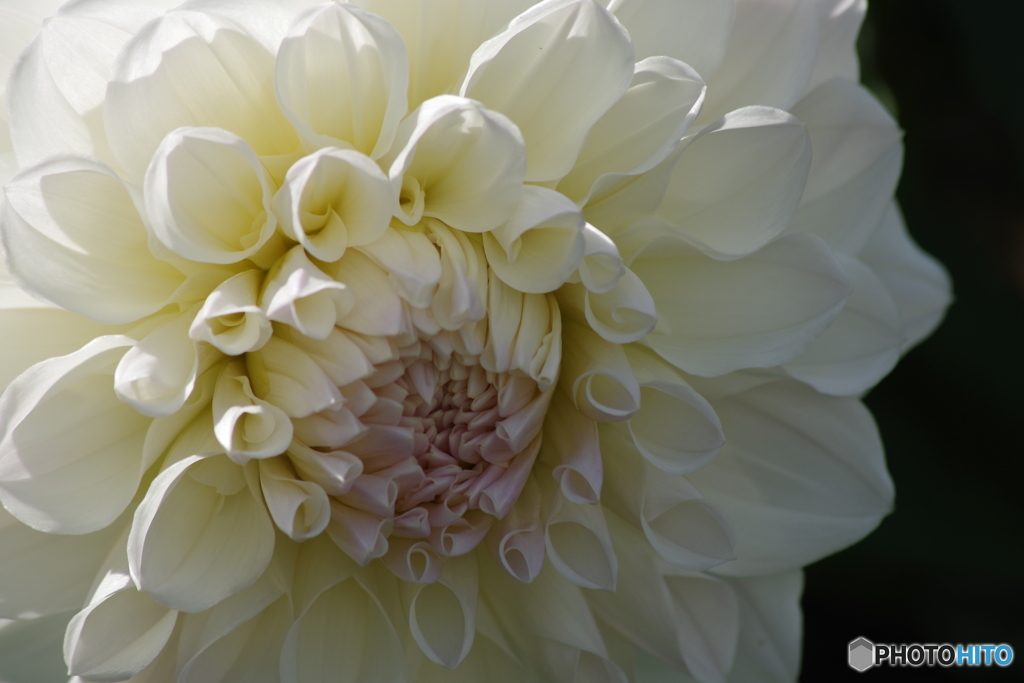 ② 愛の芽生え