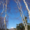 梢が空に-2