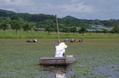 いざ出撃
