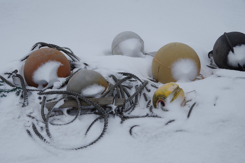 岸壁の忘れ物-1