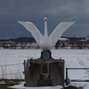 スワンパークの白鳥はこの一羽だけ^^;