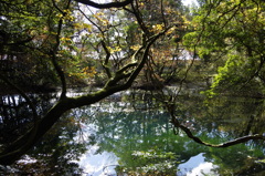 秋の終りの丸池様-3