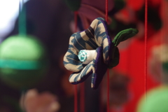傘福の飾り物-椿3