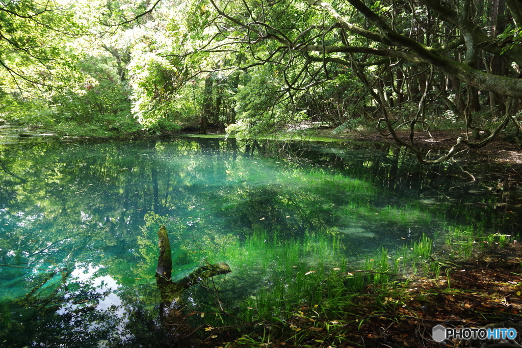 青と緑の神の池－丸池様6